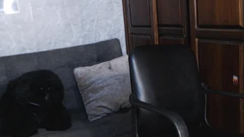 Tairon Tucke online show from 12-18-24, 01:48