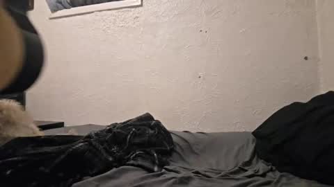 Snapshot of talenjames chatting on 04-18-26, 09:48 Talen James online show from 04-18-26, 09:48