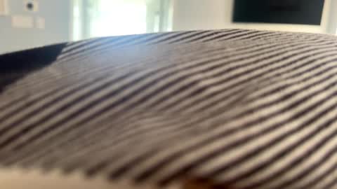 talk2me818 online show from 01-02-25, 03:08