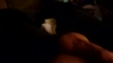 Snapshot of talldrink62 chatting on 10-26-25, 10:43 The Man of Steel online show from 10-26-25, 10:43