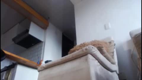 Tamara online show from 02-08-26, 09:07