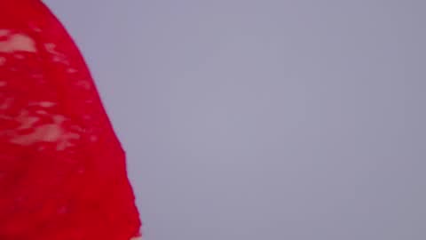 Tania Amore online show from 11-25-25, 06:52