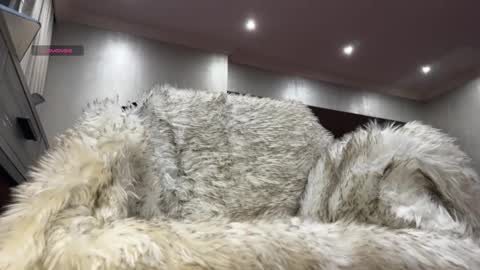 Tank Guy online show from 03-29-26, 09:26