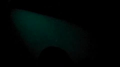 Snapshot of tatko874482 chatting on 07-04-26, 07:42 Beliqnegar online show from 07-04-26, 07:42