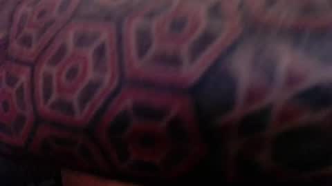 Snapshot of tatted420stoner chatting on 10-05-25, 03:27 tatted420stoner online show from 10-05-25, 03:27