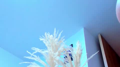 tayler_swift1 online show from 02-13-26, 06:37