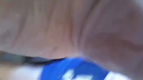 ThrobbingC online show from 10-14-25, 04:19