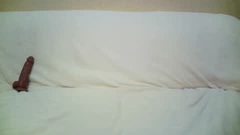 teach4kitty online show from 09-29-25, 07:30