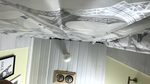 Snapshot of teejm chatting on 02-12-25, 12:33 Twizzler online show from 02-12-25, 12:33