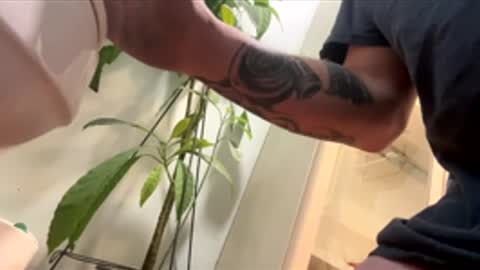 teet69 online show from 03-10-26, 10:15