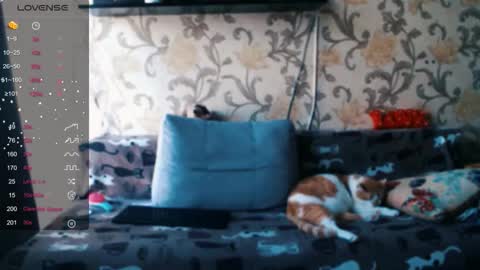 Ada  online show from 12-19-25, 09:38