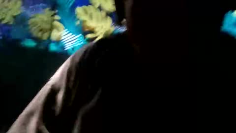 tennesseea online show from 11-23-25, 03:23