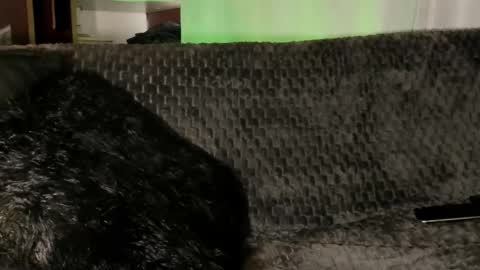 Teo online show from 01-08-26, 04:09