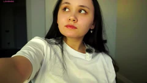 Snapshot of teressapillot chatting on 02-23-26, 06:33 Liza online show from 02-23-26, 06:33