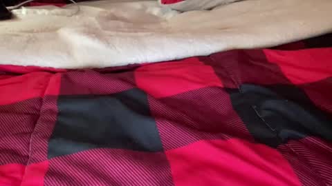 Snapshot of texashotrod chatting on 12-06-24, 06:59 Derick online show from 12-06-24, 06:59