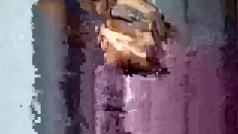 Snapshot of texasmade13 chatting on 11-16-25, 01:55 TexasDick online show from 11-16-25, 01:55