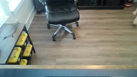 Snapshot of tfm138 chatting on 05-22-26, 05:29 tfm138 online show from 05-22-26, 05:29