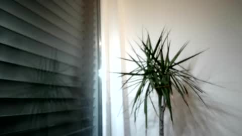 Snapshot of tger2024 chatting on 11-03-25, 03:57 tger2024 online show from 11-03-25, 03:57