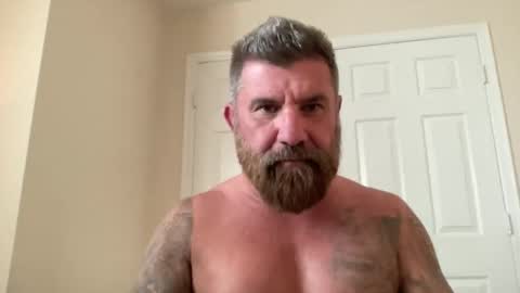 Snapshot of thatguybearded chatting on 03-05-25, 10:43 ThatGuyBearded online show from 03-05-25, 10:43