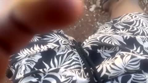 thatoneguy2802 online show from 01-17-26, 07:57