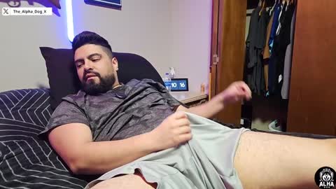 Snapshot of the_alpha_dog_xxx chatting on 12-06-24, 04:14 the_alpha_dog_xxx online show from 12-06-24, 04:14