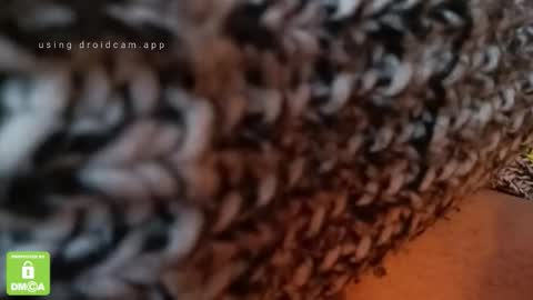 Snapshot of the_real_handjob_couple chatting on 02-04-26, 11:49 The Real Hanjob Couple online show from 02-04-26, 11:49