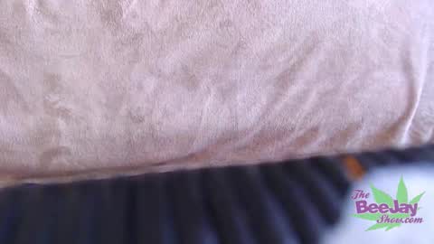 Snapshot of thebeejayshow chatting on 12-04-24, 11:30 TheBeeJayShow online show from 12-04-24, 11:30