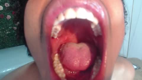 Flavor online show from 03-14-26, 02:50