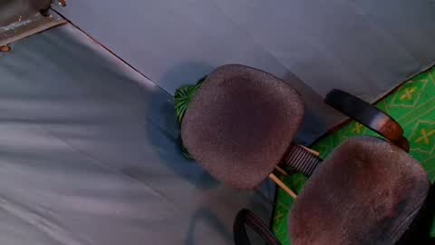 Lana But you can spell it backwards online show from 02-20-25, 03:23