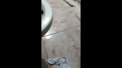 Snapshot of thedo121111 chatting on 10-01-25, 01:17 thedo121111 online show from 10-01-25, 01:17