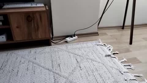 thefckngcber online show from 09-28-25, 09:53