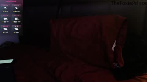 thefoxieprince online show from 12-02-25, 04:18