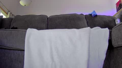 Snapshot of thegreat6268469 chatting on 09-12-25, 11:37 thegreat6268469 online show from 09-12-25, 11:37