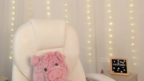 Snapshot of thekatemess_ chatting on 06-04-26, 04:07 Katie. Kate is the name I go by. online show from 06-04-26, 04:07