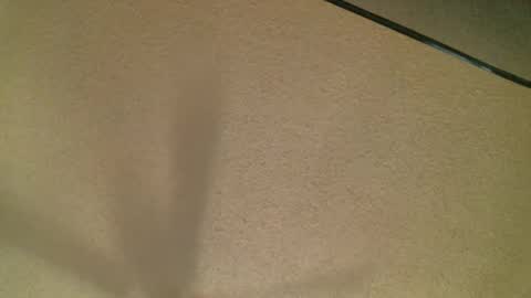 Daisy and Tim online show from 10-19-25, 03:51