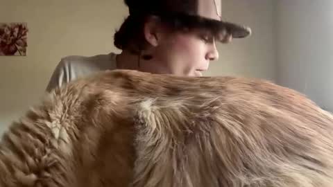 Astrid online show from 04-11-26, 10:36