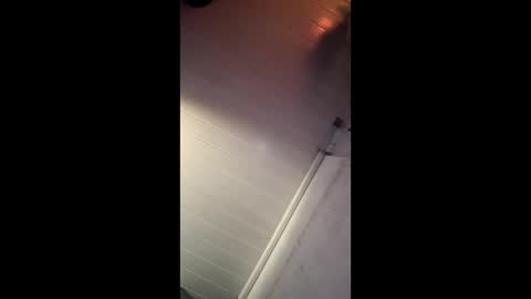 theonlyboi43ver online show from 12-27-24, 08:35