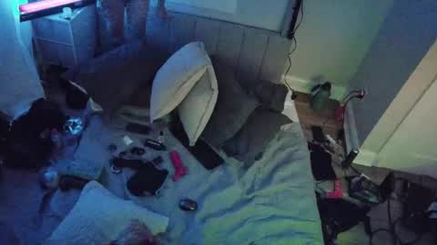 Snapshot of theperfectbottom chatting on 11-17-25, 11:49 theperfectbottom online show from 11-17-25, 11:49