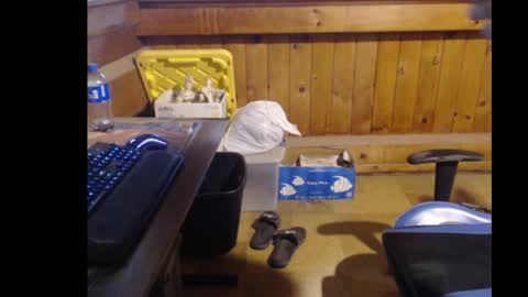 Snapshot of therealbigcheese0695 chatting on 10-29-25, 08:21 therealbigcheese0695 online show from 10-29-25, 08:21