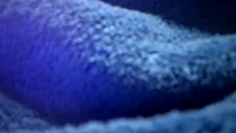 that would be telling online show from 02-16-26, 01:18