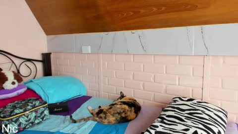 Nicole online show from 03-25-26, 02:45