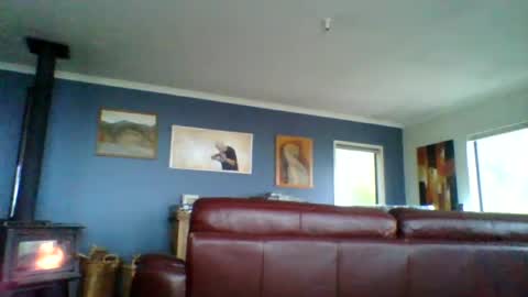 Snapshot of thickcockat71 chatting on 07-25-26, 08:17 Thickcockat71 online show from 07-25-26, 08:17