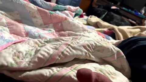 Snapshot of thickdic44 chatting on 02-12-25, 06:40 thickdic44 online show from 02-12-25, 06:40