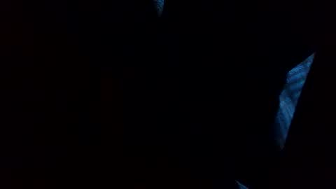 Snapshot of thisdixforyou chatting on 12-31-24, 07:40 thisdixforyou online show from 12-31-24, 07:40