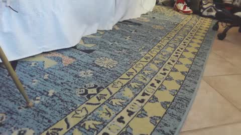 Snapshot of thongmuscle chatting on 02-27-25, 01:49 ThongMuscle online show from 02-27-25, 01:49