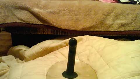 Thongsandstocking online show from 12-01-25, 11:21