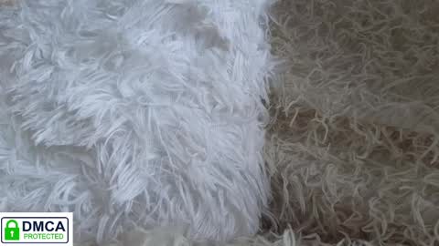 Snapshot of tia_j chatting on 01-16-25, 11:58 tia_j online show from 01-16-25, 11:58