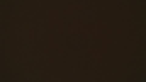 LIA online show from 04-02-26, 02:15