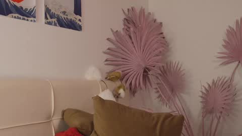 tiffanyjons online show from 02-28-25, 12:21