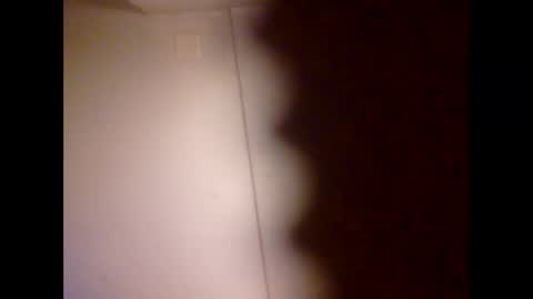 Tiger Lexy online show from 04-20-26, 11:50